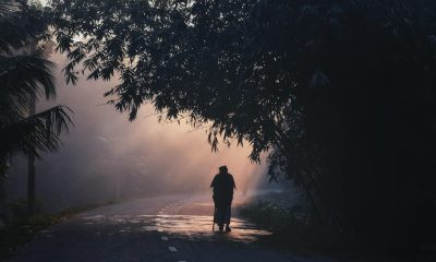 自然纪录片风格占位画面，清晨薄雾中的山脉与湖面倒影，冷蓝色调，画面宁静开阔，用于演示影院在线观看纪录片分区卡片